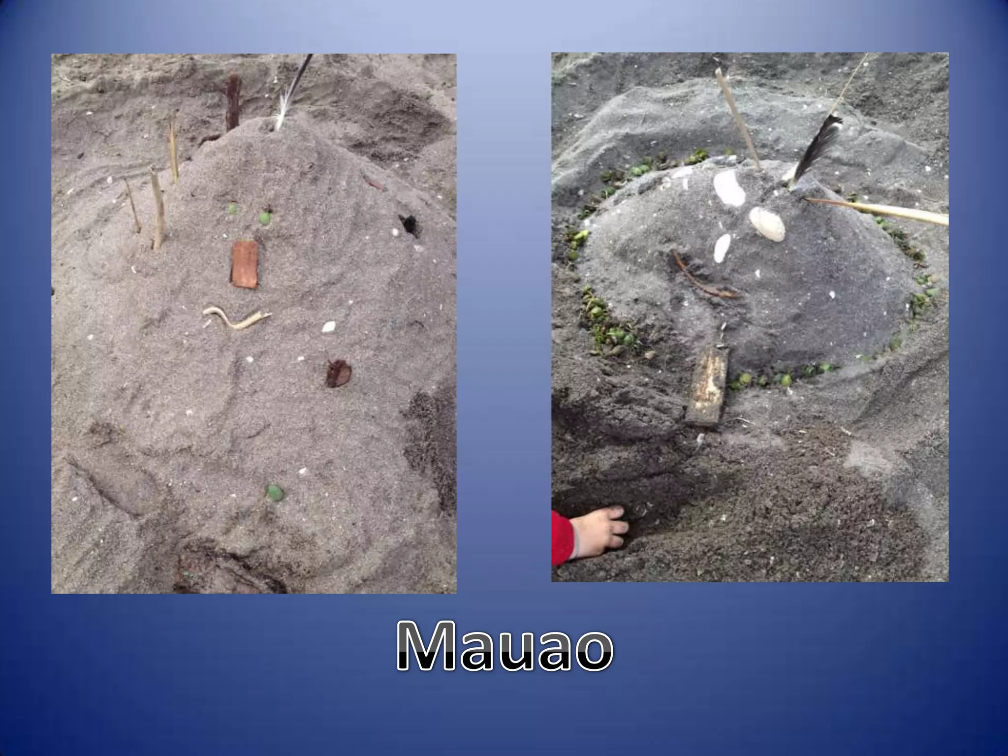 Sun & surf camp 2014