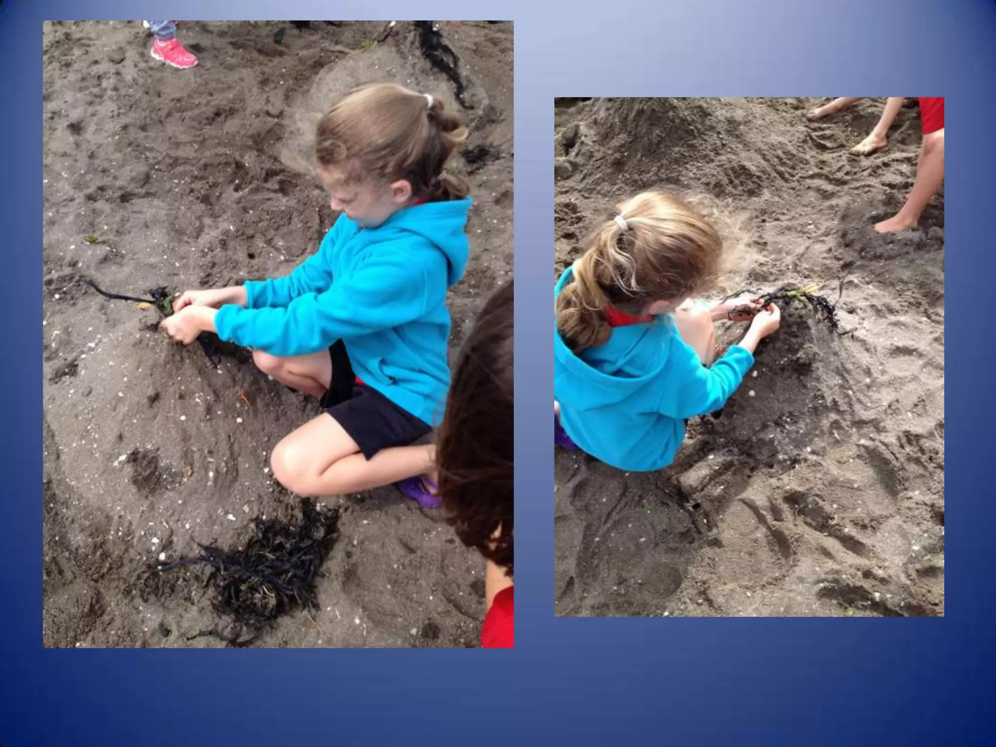 Sun & surf camp 2014