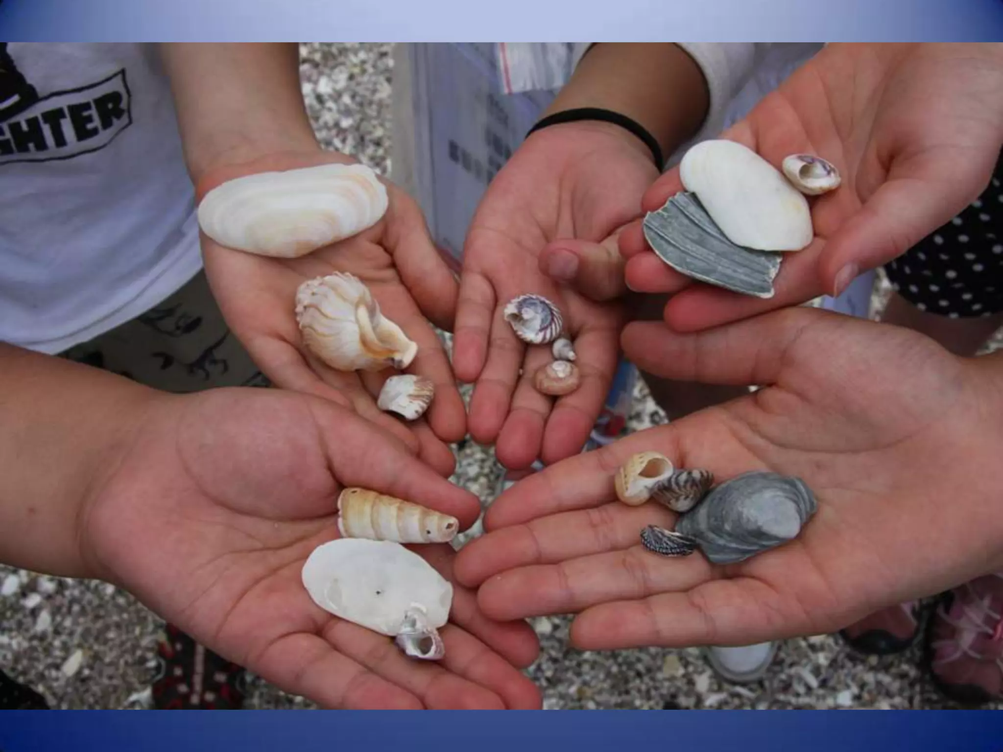 Sun & surf camp 2014