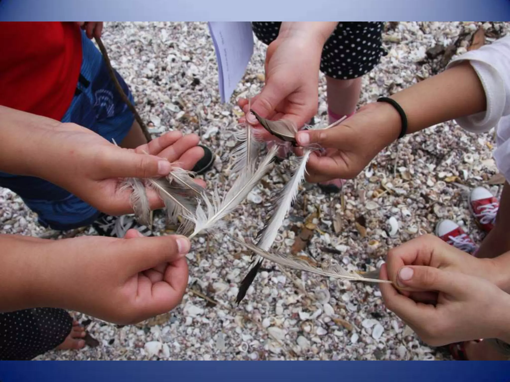 Sun & surf camp 2014