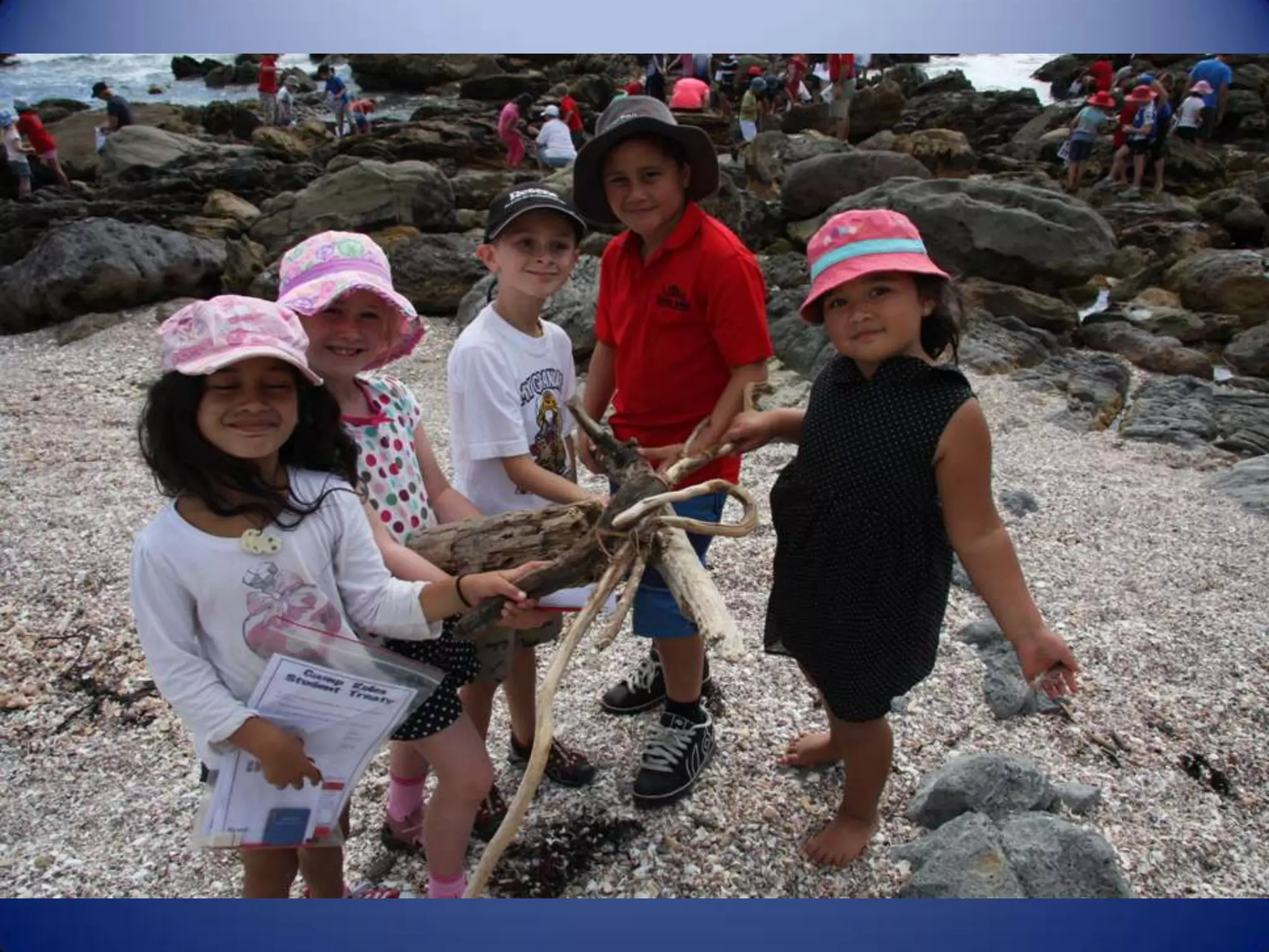 Sun & surf camp 2014