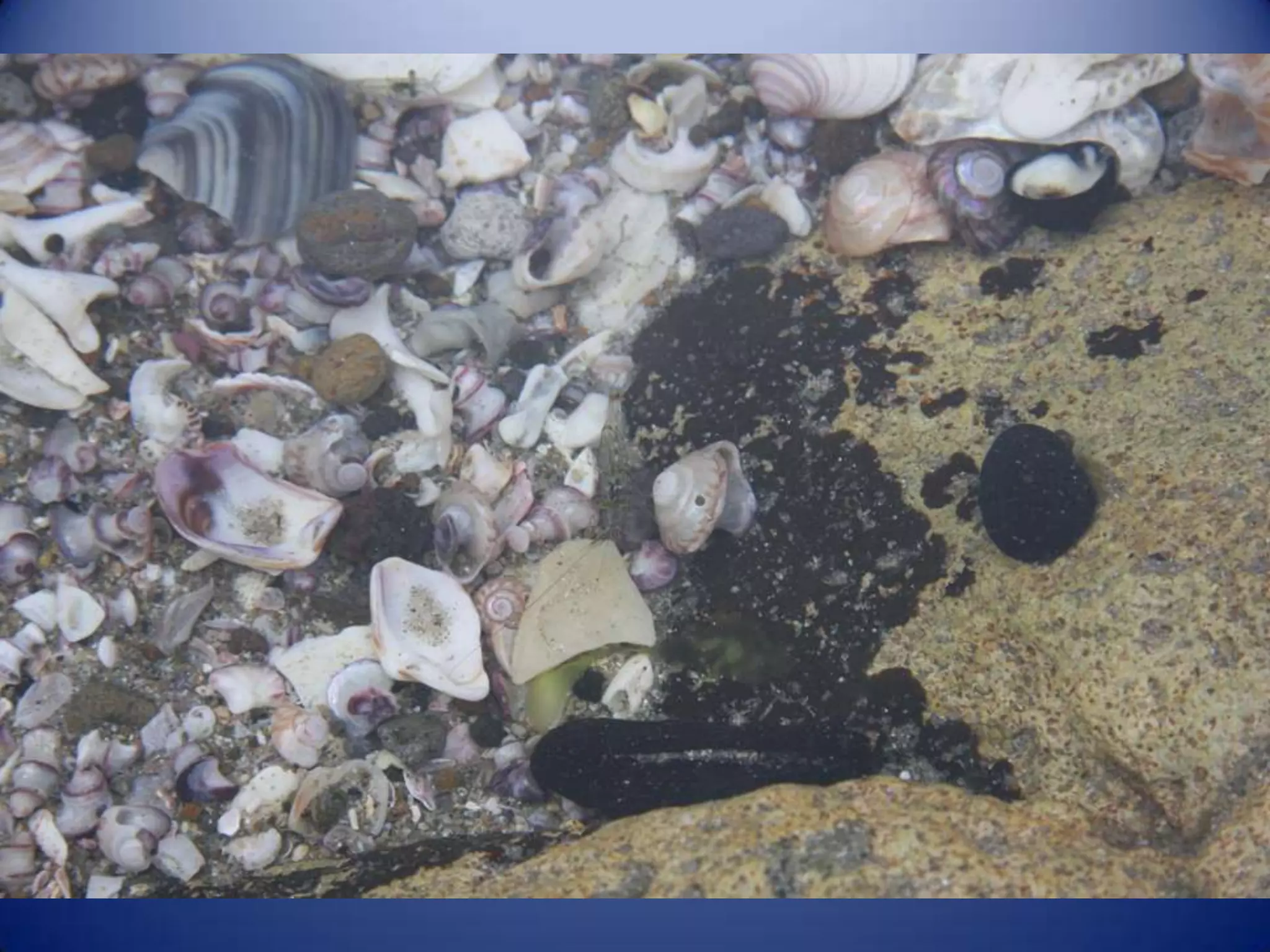 Sun & surf camp 2014