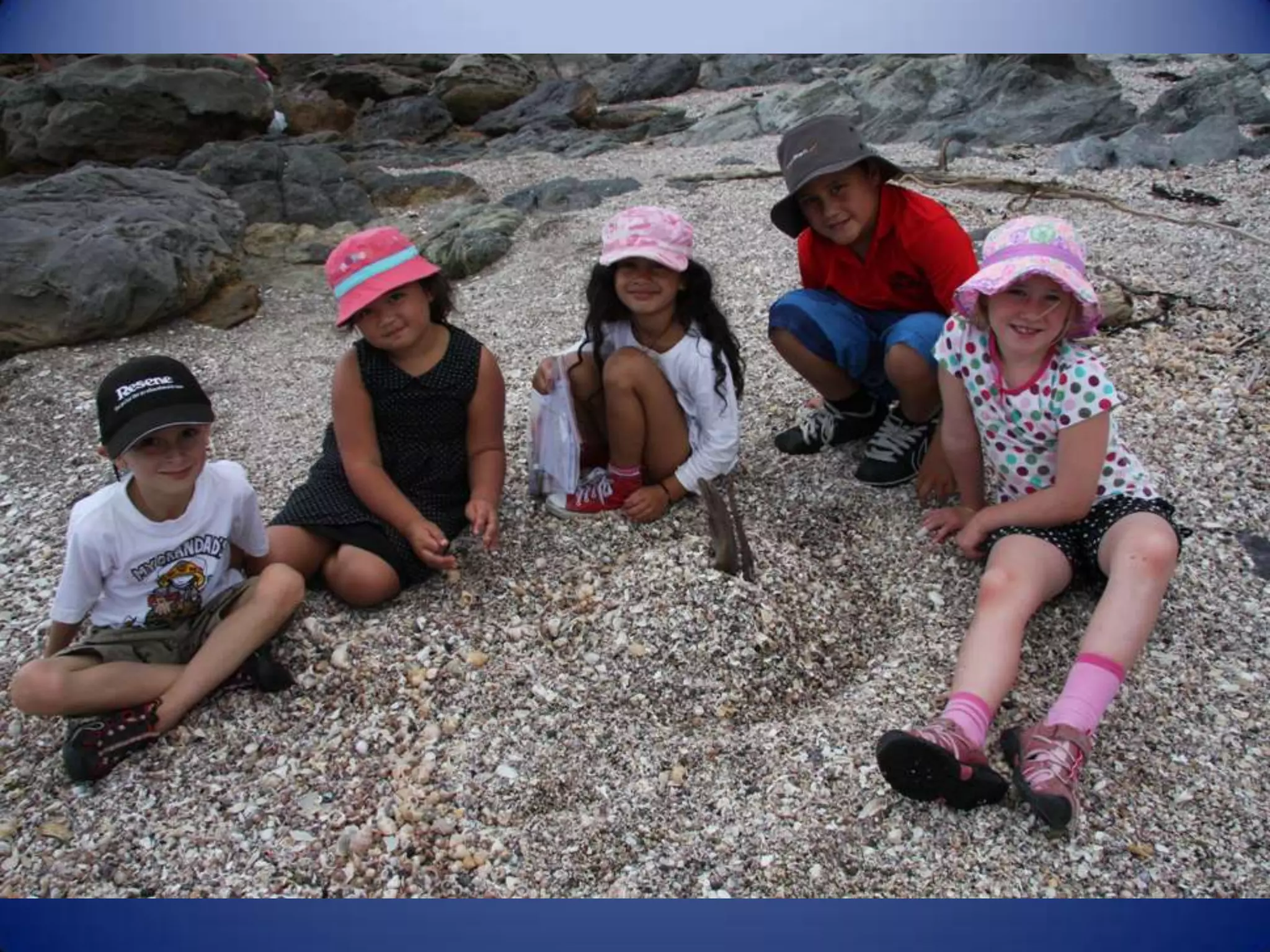 Sun & surf camp 2014