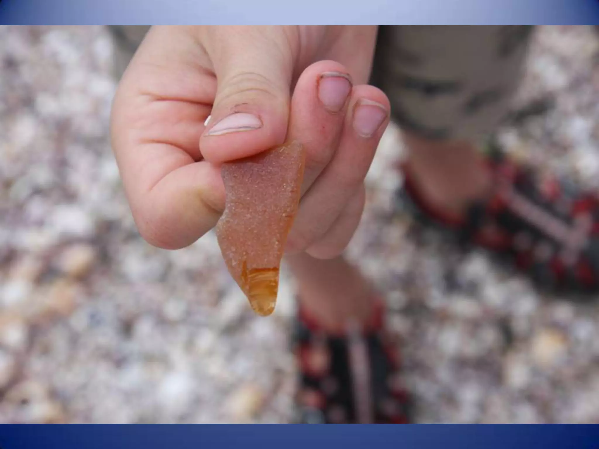 Sun & surf camp 2014