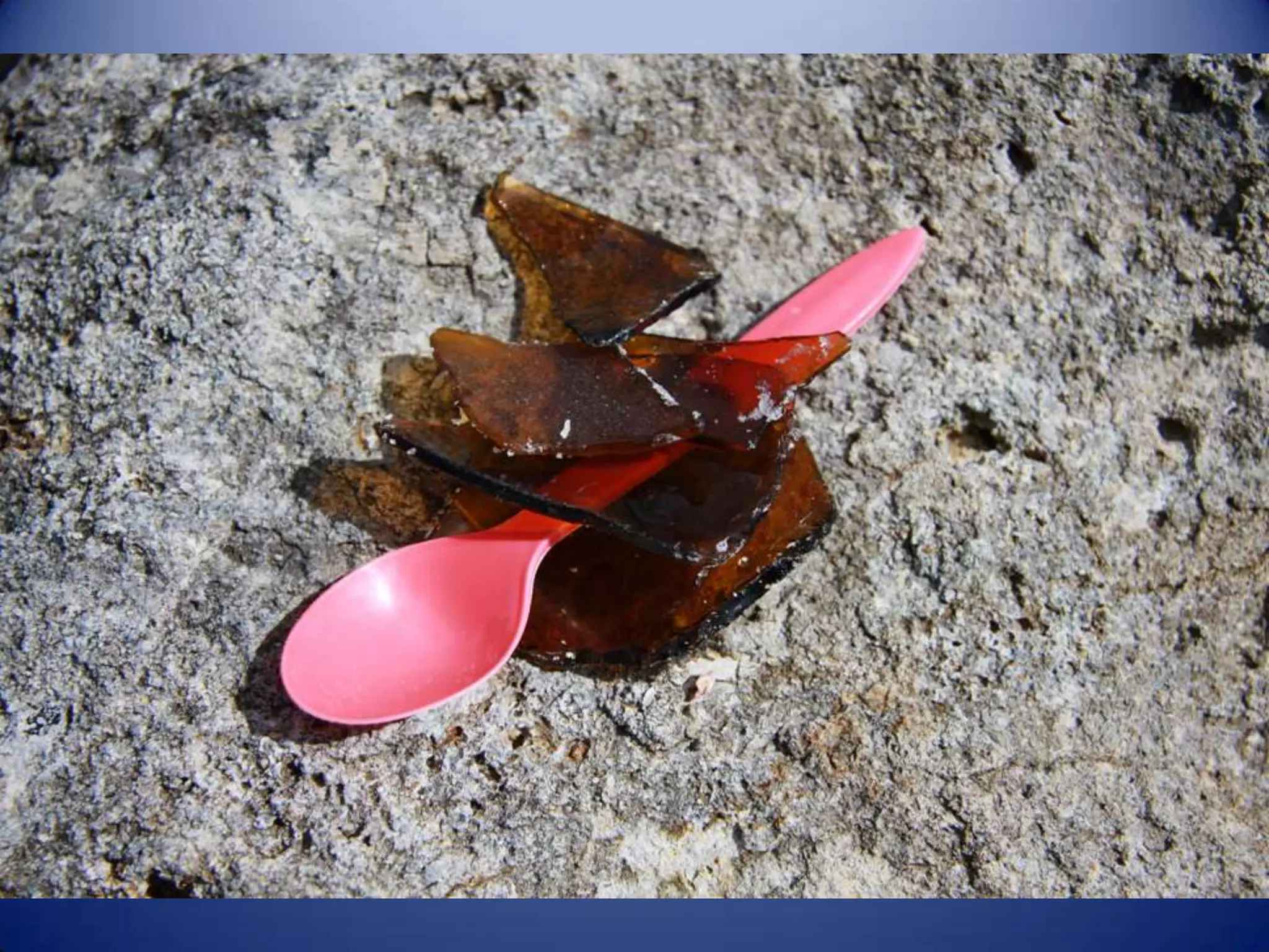 Sun & surf camp 2014