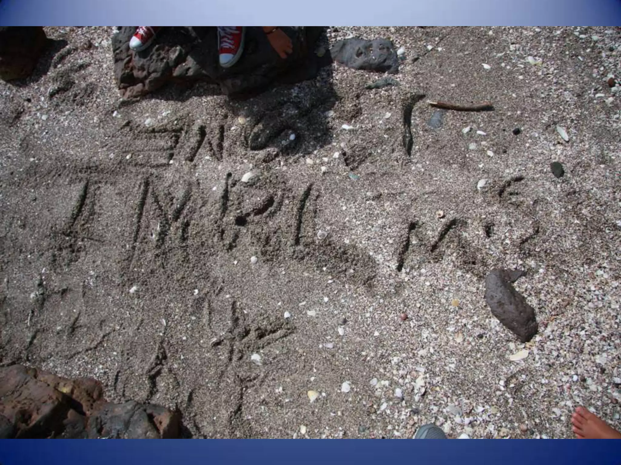 Sun & surf camp 2014