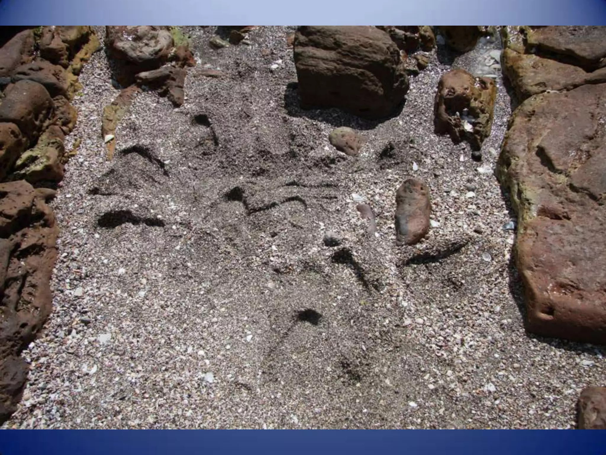 Sun & surf camp 2014