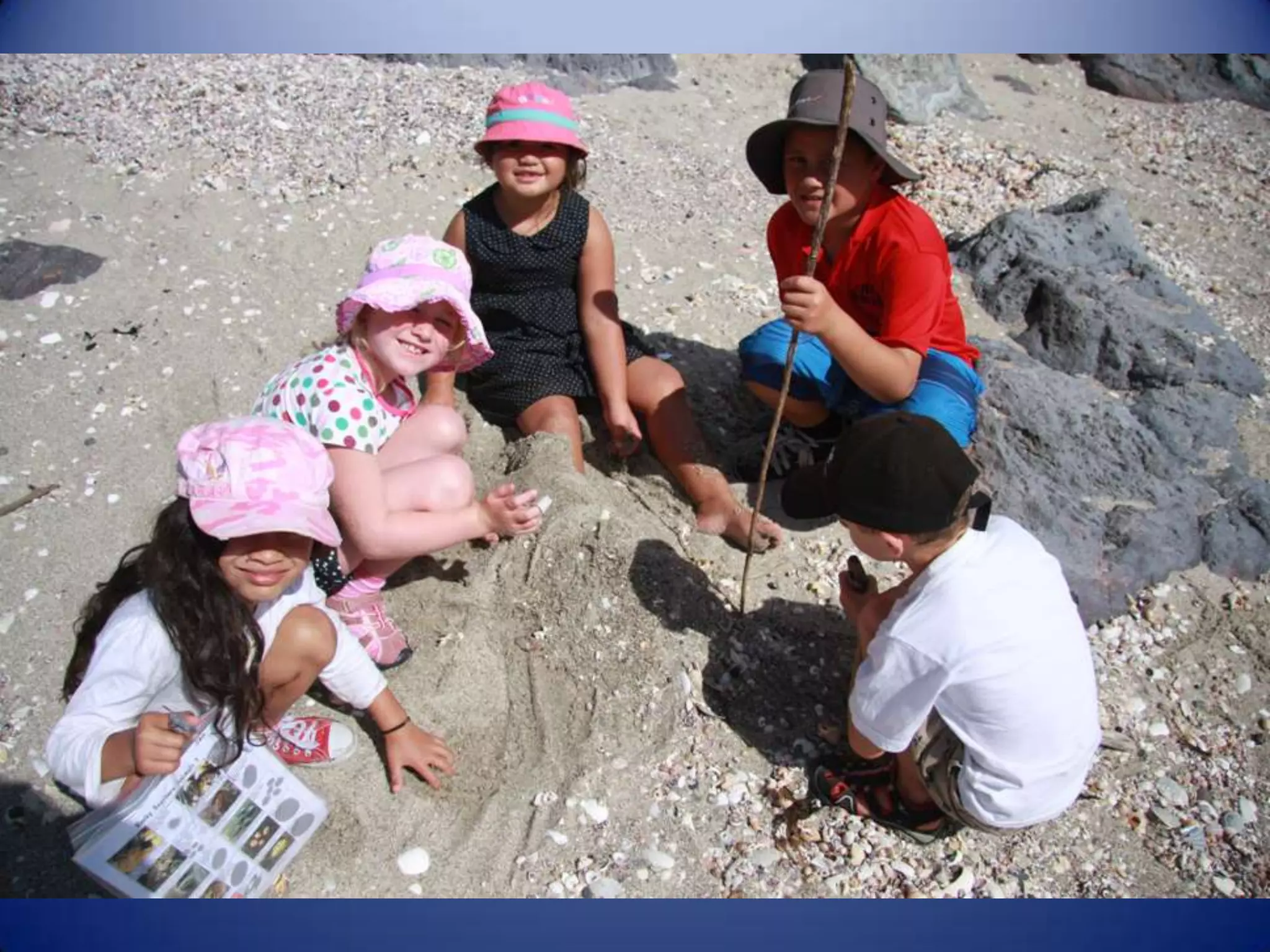 Sun & surf camp 2014