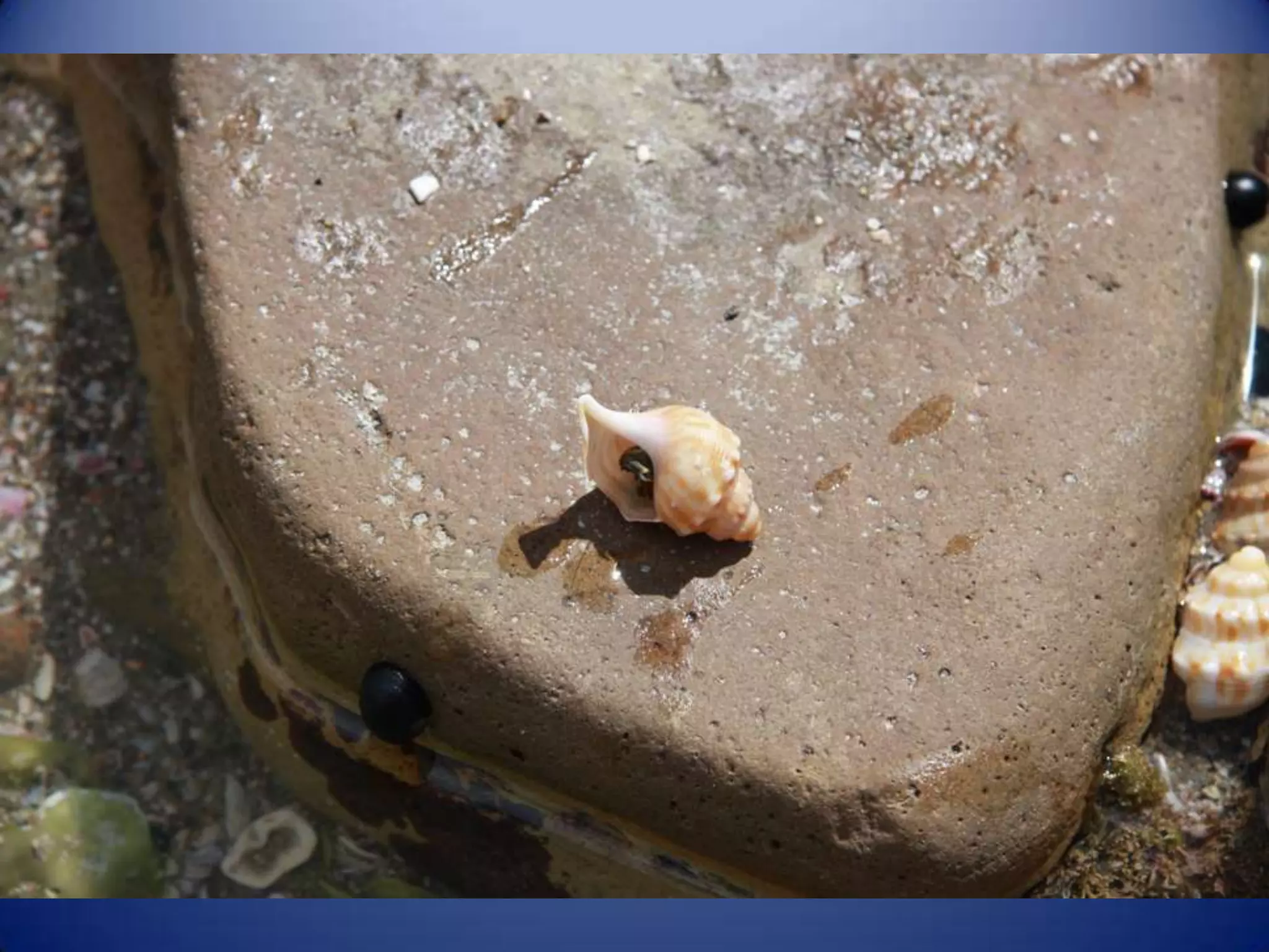 Sun & surf camp 2014