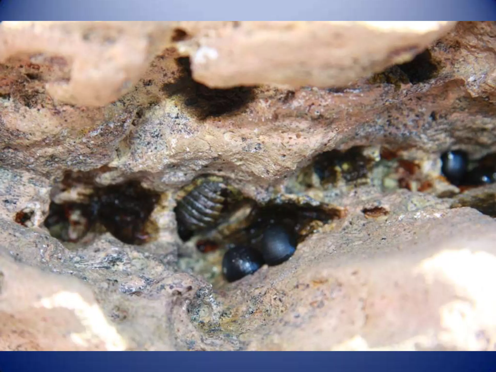 Sun & surf camp 2014