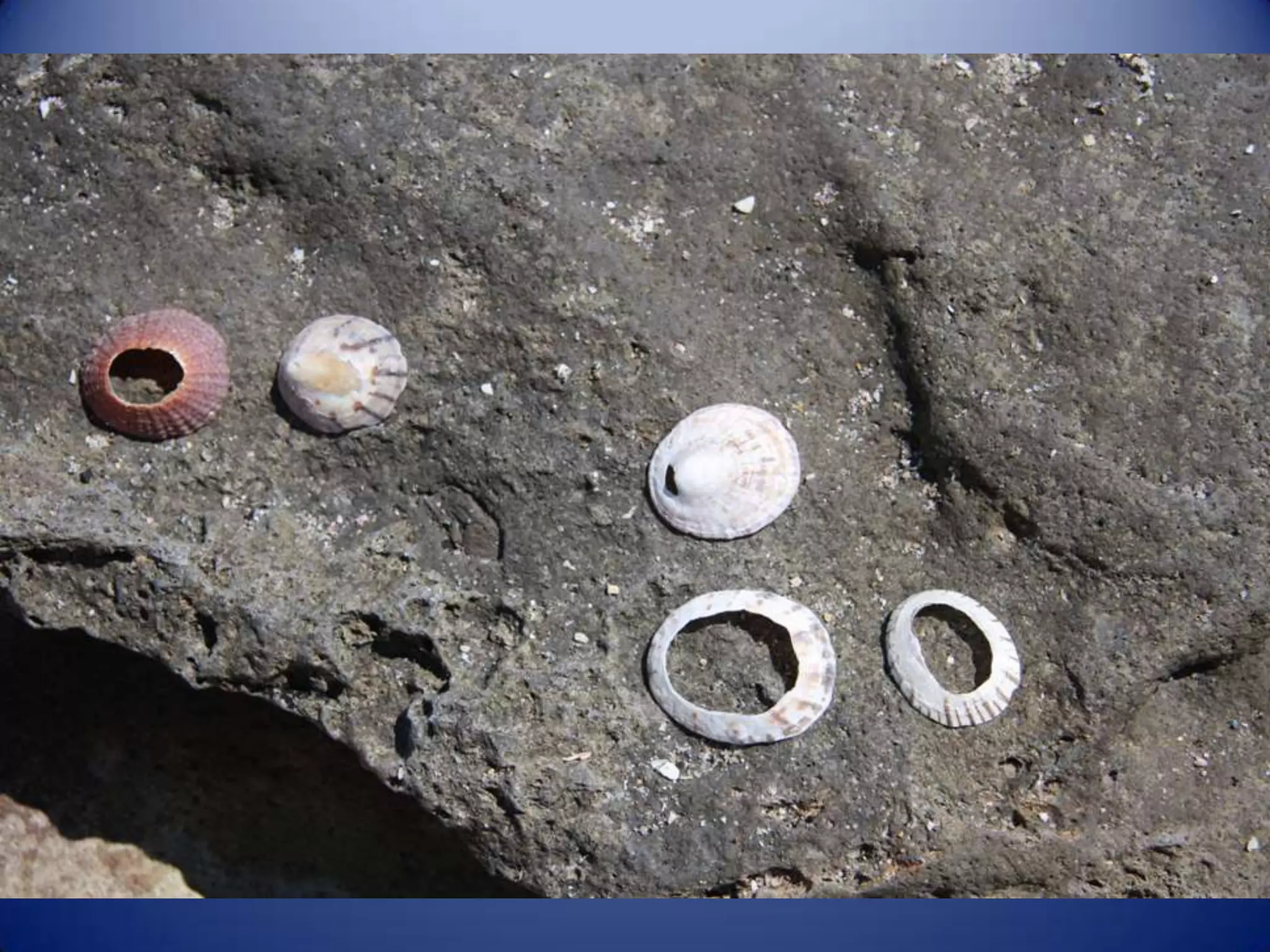 Sun & surf camp 2014