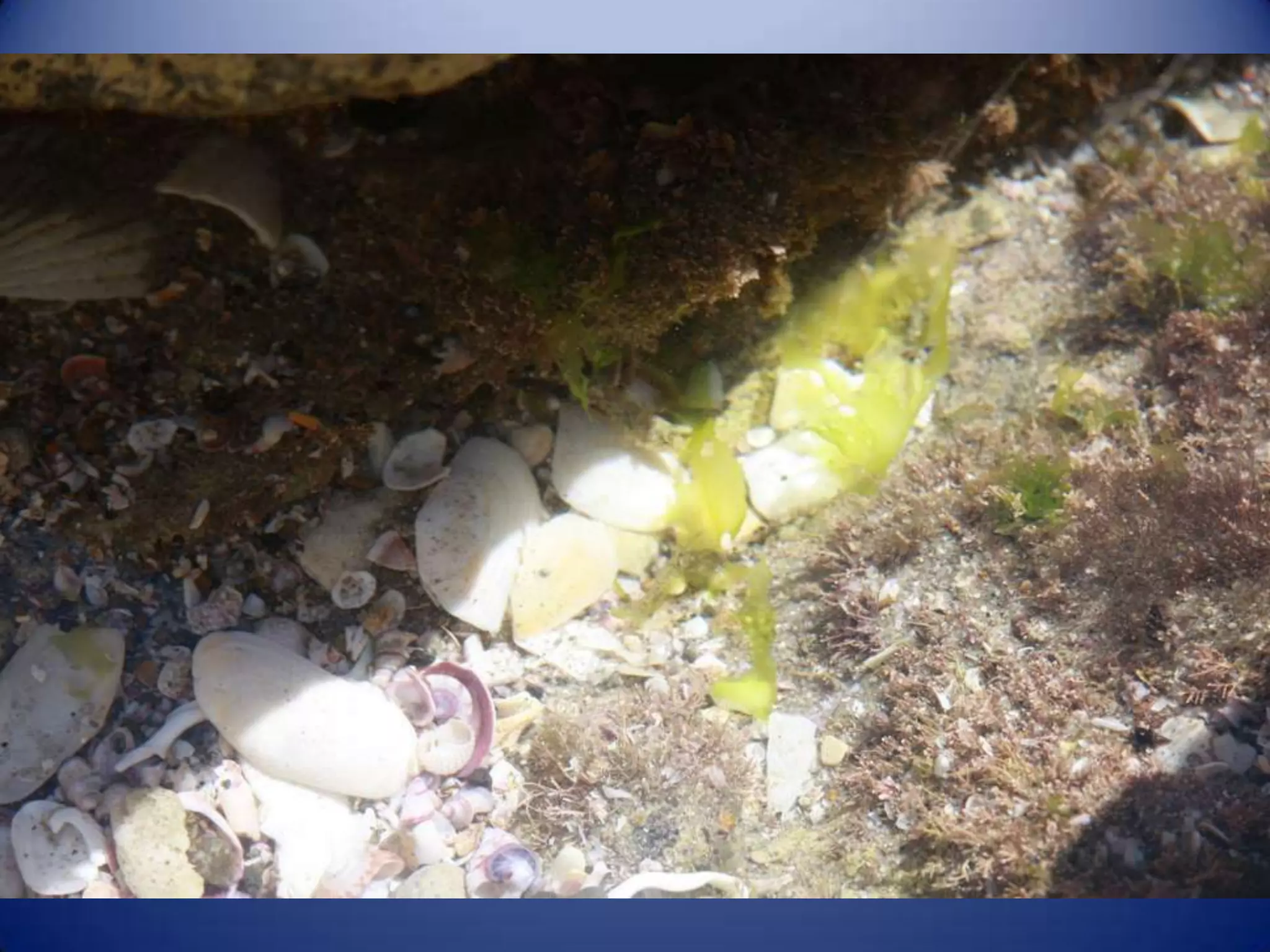 Sun & surf camp 2014