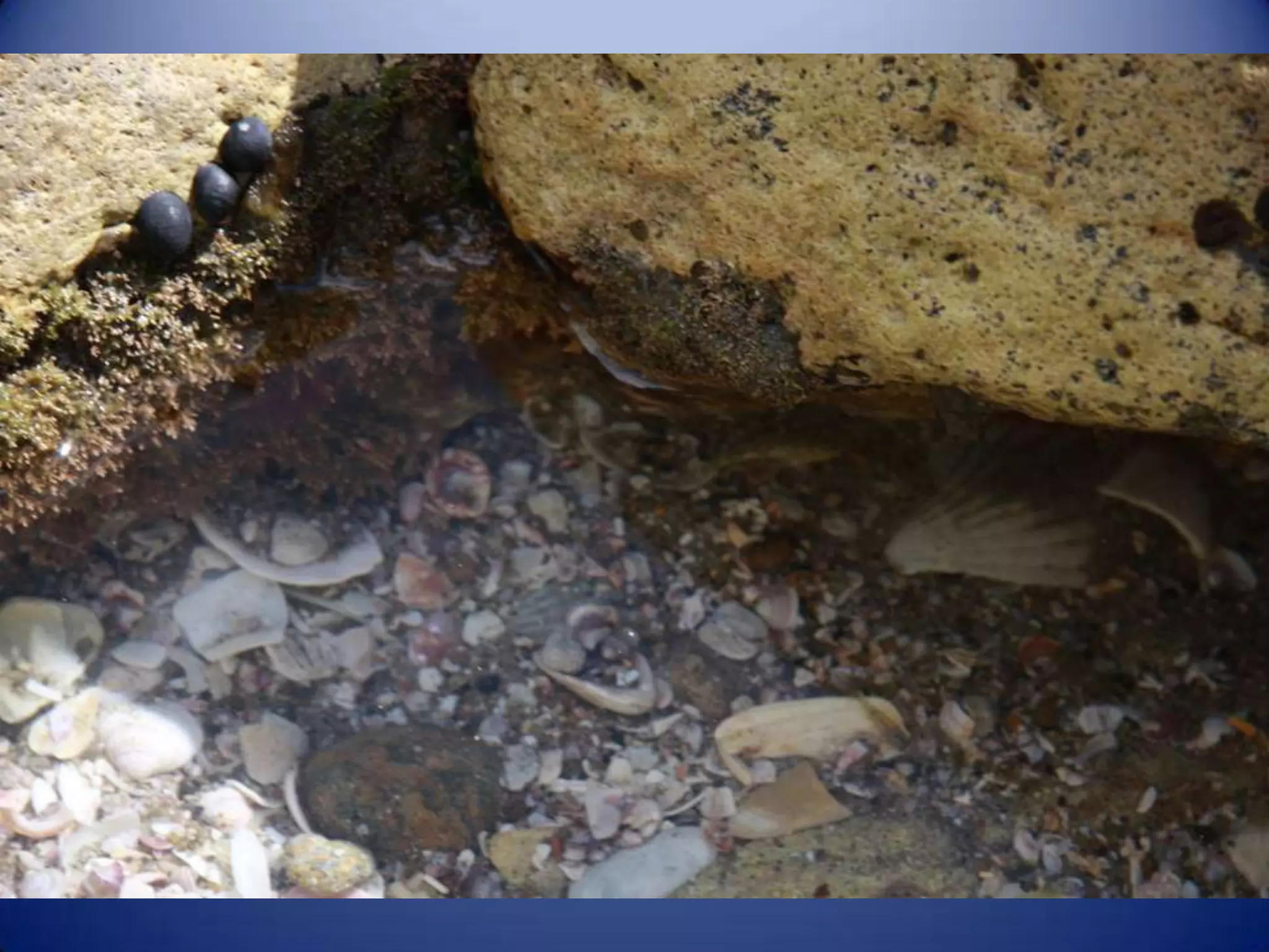 Sun & surf camp 2014