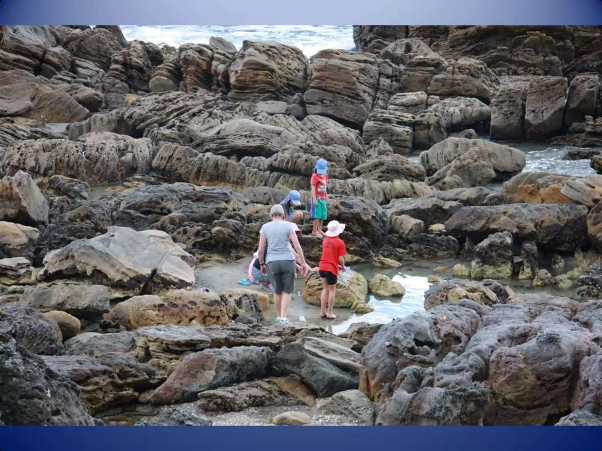 Sun & surf camp 2014