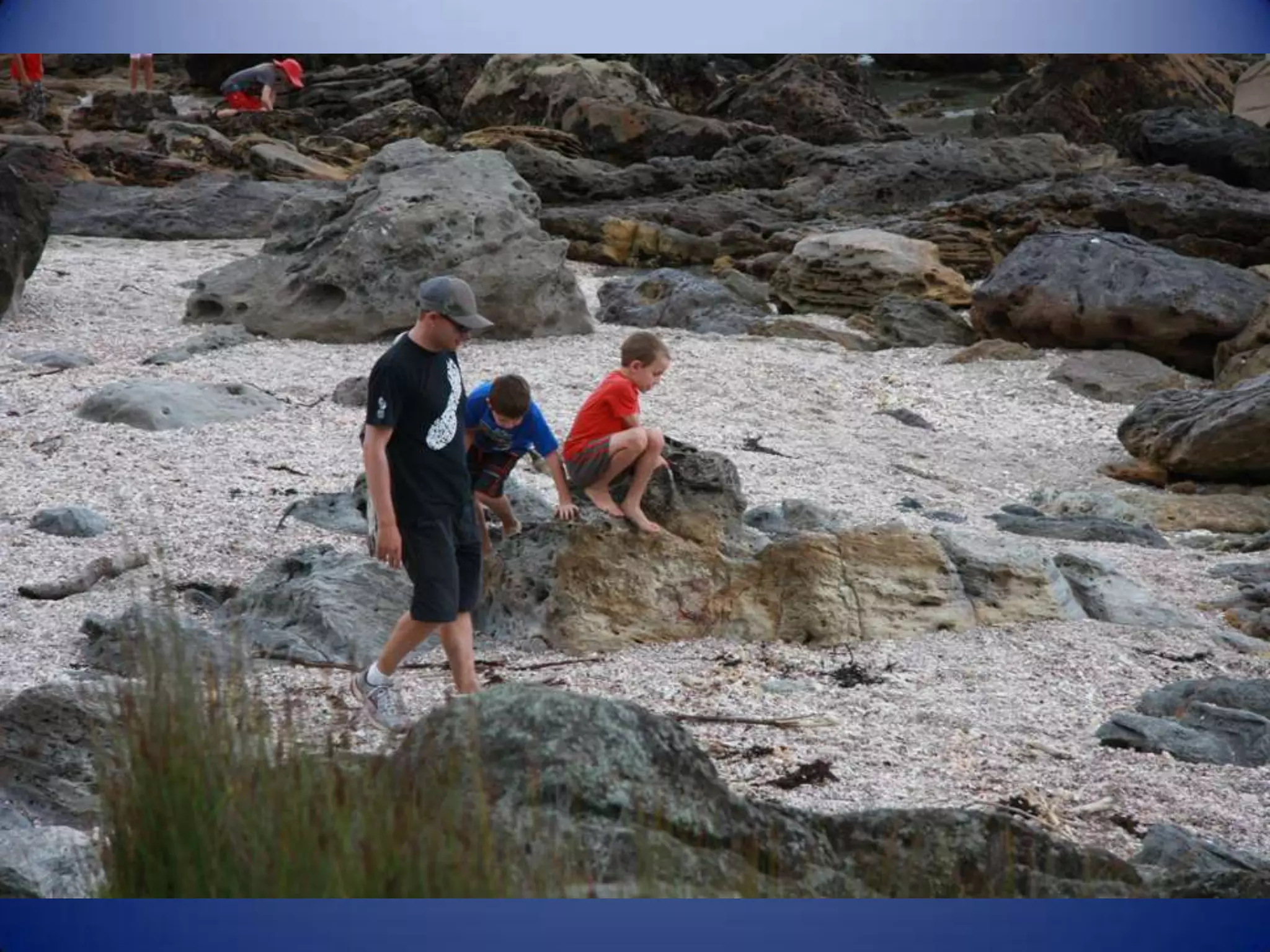 Sun & surf camp 2014