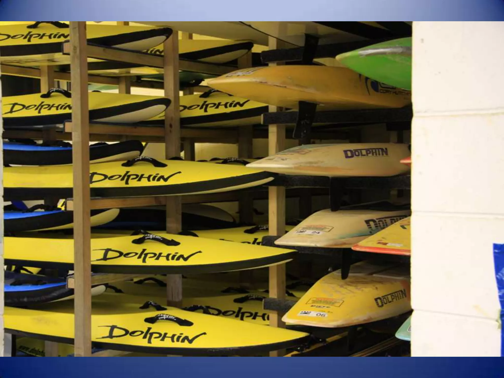 Sun & surf camp 2014