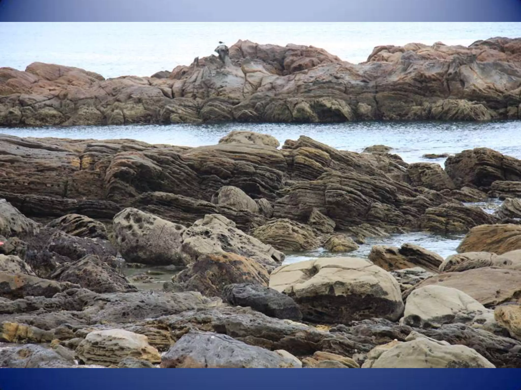 Sun & surf camp 2014