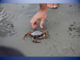 Sun & surf camp 2014