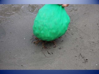 Sun & surf camp 2014