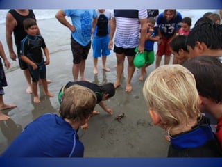 Sun & surf camp 2014