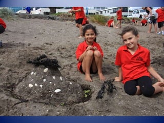 Sun & surf camp 2014