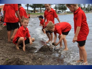 Sun & surf camp 2014