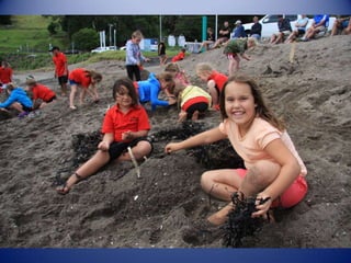 Sun & surf camp 2014