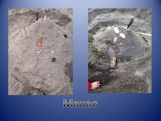 Sun & surf camp 2014