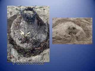 Sun & surf camp 2014