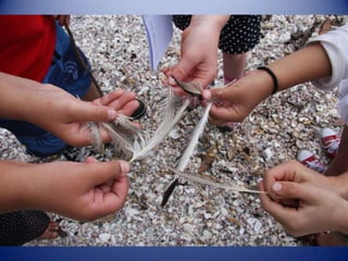 Sun & surf camp 2014