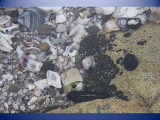 Sun & surf camp 2014