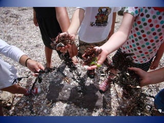 Sun & surf camp 2014