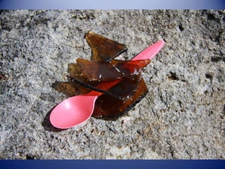 Sun & surf camp 2014