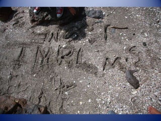 Sun & surf camp 2014