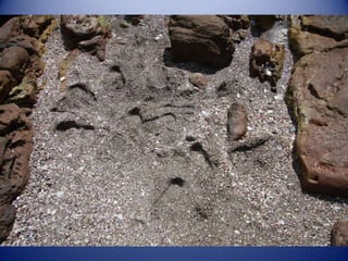 Sun & surf camp 2014