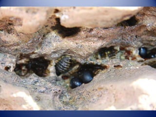 Sun & surf camp 2014