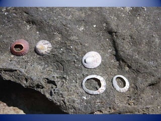 Sun & surf camp 2014