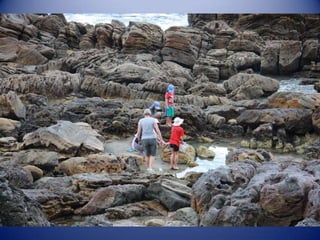 Sun & surf camp 2014