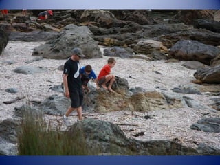 Sun & surf camp 2014