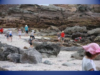 Sun & surf camp 2014