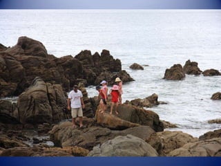 Sun & surf camp 2014