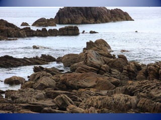 Sun & surf camp 2014