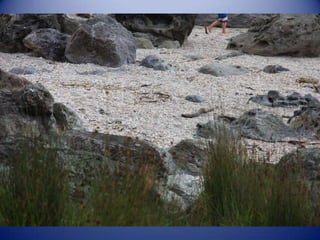 Sun & surf camp 2014