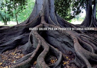 RADICI SOLIDE PER UN PROGETTO DI LUNGA DURATA
 