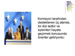 Komisyon tarafından desteklenen üç alanda, bir dizi tedbir ve eylemleri hayata geçirmek konusunda öneriler getiriyordu:  