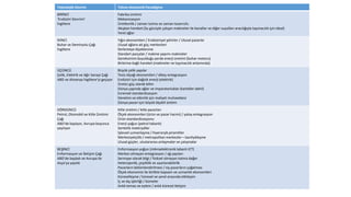 Teknolojik Devrim Tekno-ekonomik Paradigma
BİRİNCİ
‘Endüstri Devrimi’
İngiltere
Fabrika üretimi
Mekanizasyon
Üretkenlik / zaman tutma ve zaman tasarrufu
Akışkan hareket (Su gücüyle çalışan makineler ile kanallar ve diğer suyolları aracılığıyla taşımacılık için ideal)
Yerel ağlar
İKİNCİ
Buhar ve Demiryolu Çağı
İngiltere
Yığın ekonomileri / Endüstriyel şehirler / Ulusal pazarlar
Ulusal ağlara ait güç merkezleri
İlerlemeye ölçeklenme
Standart parçalar / makine yapımı makineler
Gereksinimi duyulduğu yerde enerji üretimi (buhar motoru)
Birbirine bağlı hareket (makineler ve taşımacılık anlamında)
ÜÇÜNCÜ
Çelik, Elektrik ve Ağır Sanayi Çağı
ABD ve Almanya İngiltere’yi geçiyor
Büyük çelik yapılar
Tesis ölçeği ekonomileri / dikey entegrasyon
Endüstri için dağıtık enerji (elektrik)
Üretici güç olarak bilim
Dünya çapında ağlar ve imparatorluklar (karteller dahil)
Evrensel standardizasyon
Denetim ve etkinlik için maliyet muhasebesi
Dünya pazarı için büyük ölçekli üretim
DÖRDÜNCÜ
Petrol, Otomobil ve Kitle Üretimi
Çağı
ABD’de başlıyor, Avrupa boyunca
yayılıyor
Kitle üretimi / kitle pazarları
Ölçek ekonomileri (ürün ve pazar hacmi) / yatay entegrasyon
Ürün standardizasyonu
Enerji yoğun (petrol tabanlı)
Sentetik materyaller
İşlevsel uzmanlaşma / hiyerarşik piramitler
Merkeziyetçilik / metropolitan merkezler – banliyöleşme
Ulusal güçler, uluslararası anlaşmalar ve çatışmalar
BEŞİNCİ
Enformasyon ve İletişim Çağı
ABD’de başladı ve Avrupa ile
Asya’ya yayıldı
Enformasyon yoğun (mikroelektronik tabanlı ICT)
Merkez olmayan entegrasyon / ağ yapıları
Sermaye olarak bilgi / fiziksel olmayan katma değer
Heterojenlik, çeşitlilik ve uyarlanabilirlik
Pazarların bölümlendirilmesi / niş pazarların çoğalması
Ölçek ekonomisi ile birlikte kapsam ve uzmanlık ekonomileri
Küreselleşme / küresel ve yerel arasında etkileşim
İç ve dış işbirliği / kümeler
Anlık temas ve eylem / anlık küresel iletişim
 