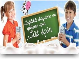 Sunu okul sütü