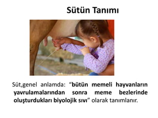 Sütün Tanımı




Süt,genel anlamda: “bütün memeli hayvanların
yavrulamalarından sonra meme bezlerinde
oluşturdukları biyolojik sıvı” olarak tanımlanır.
 