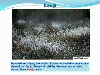 Kırağı




Havadaki su buharı, çok soğuk ilkbahar ve sonbahar gecelerinde
donarak katılaĢır. Toprak ve bitkiler üzerinde kar katmanı
oluĢur. Buna kırağı denir.
 