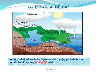 SU DÖNGÜSÜ NEDĠR?




Yeryüzündeki suların buharlaĢtıktan sonra yağıĢ Ģeklinde tekrar
yeryüzüne dönmesine su döngüsü denir.

                              28.03.2012 14:37
 